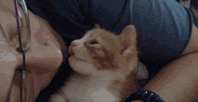 9e14cb4agw1emiz66cy9ng20b405r1ky.gif