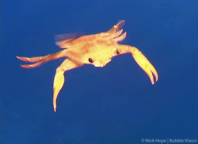 79a00895gw1eldb8s7xvjg20b4083qv5.gif