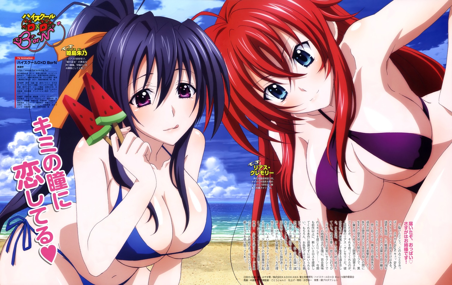 yande.re 320916 sample highschool_dxd.jpg