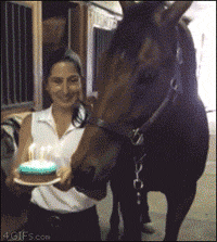 b0cb01d6jw1esmhquuzqfg205k067e81.gif