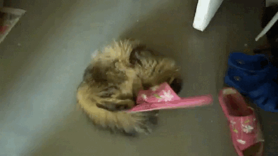 gifs_14.gif
