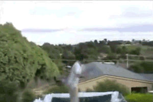 w1.gif