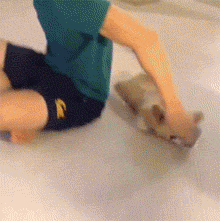 wewe.gif