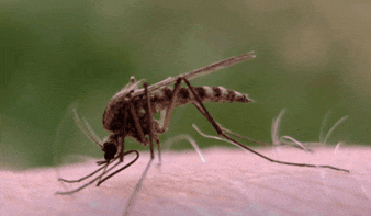 005yeTZ6jw1euammxfvzug309e05hhdu.gif