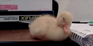 a4.gif