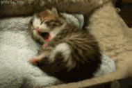 a3.gif