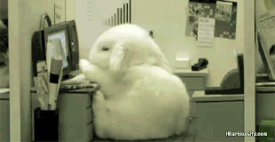 a5.gif