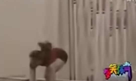aa.jpg