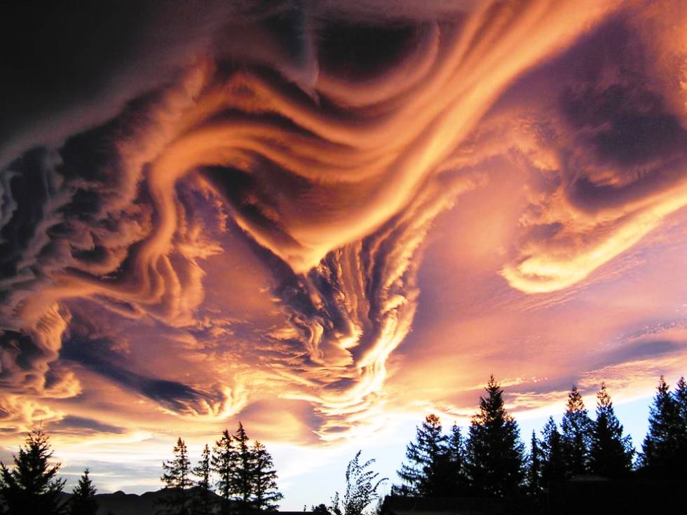 雲?畫?