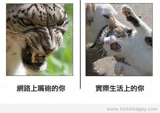 網路兇如虎-現實病如貓.jpg