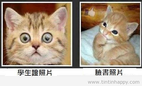 學生證照片永遠都像中風的.jpg