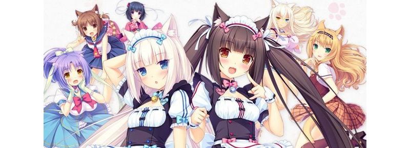 愛貓族群力量大 美少女貓娘遊戲《Nekopara》系列宣布銷售量達到五十萬套 ...